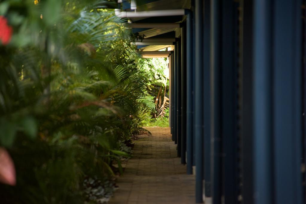 Lazy Lizard Motor Inn Port Douglas Zewnętrze zdjęcie
