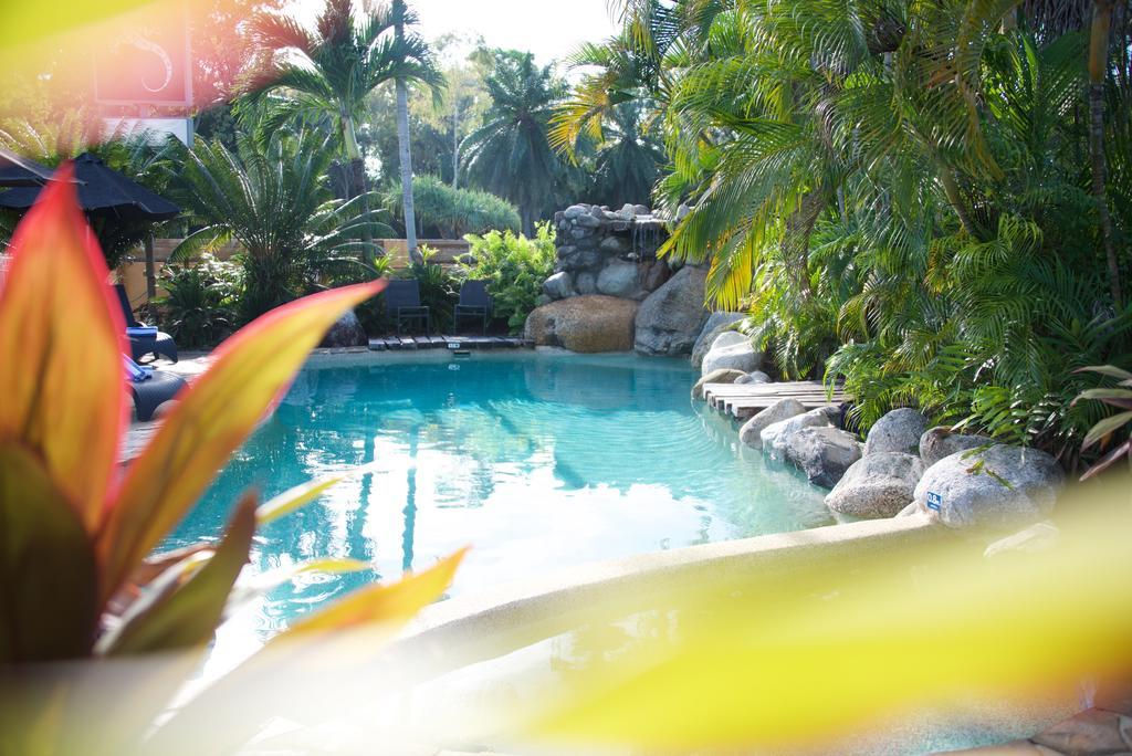 Lazy Lizard Motor Inn Port Douglas Zewnętrze zdjęcie