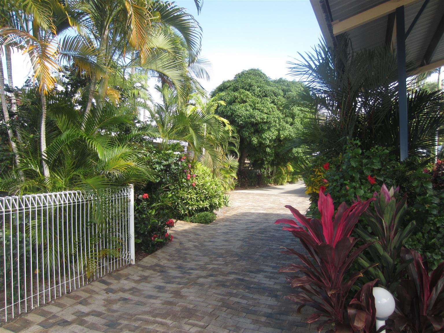 Lazy Lizard Motor Inn Port Douglas Zewnętrze zdjęcie